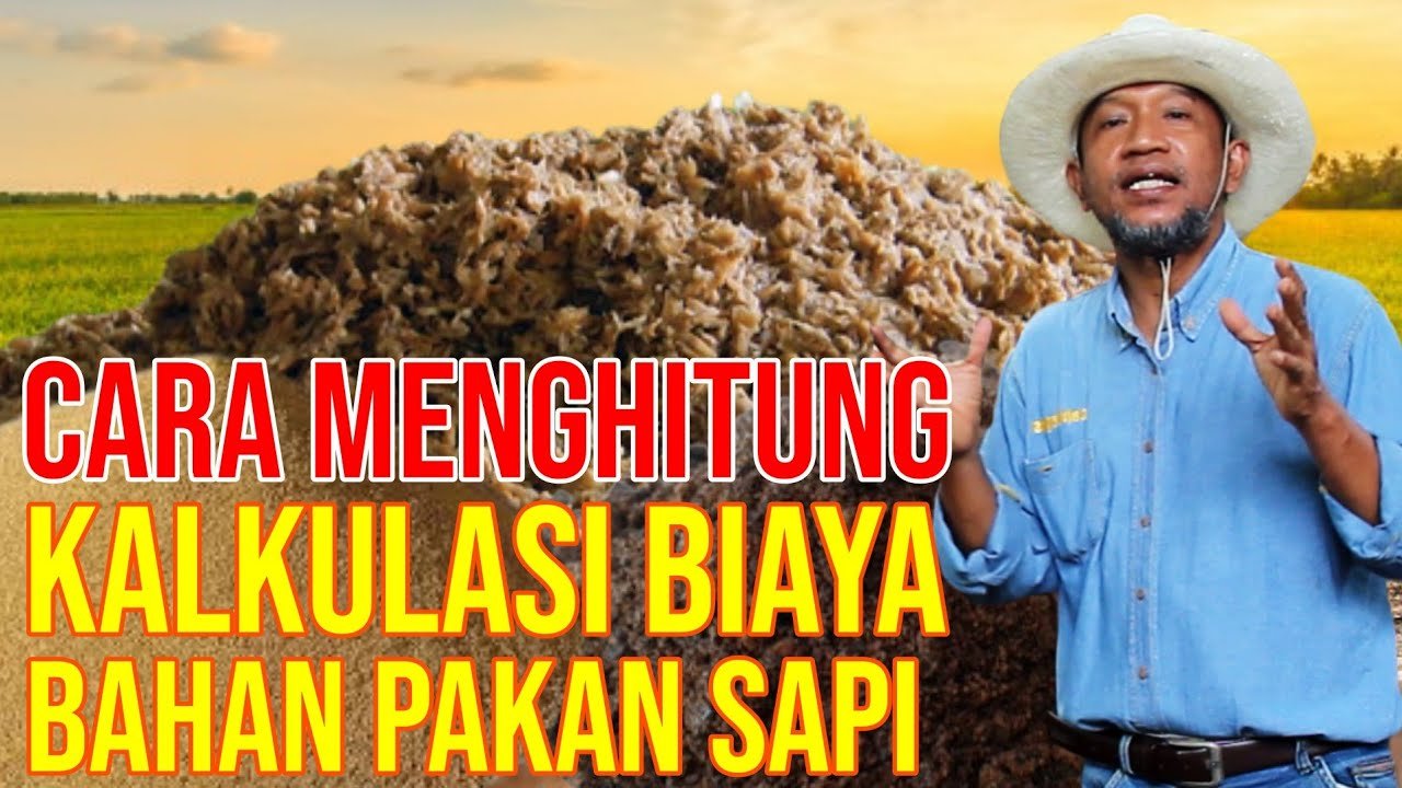 
                                 Menghitung-Biaya-Pakan-Sapi